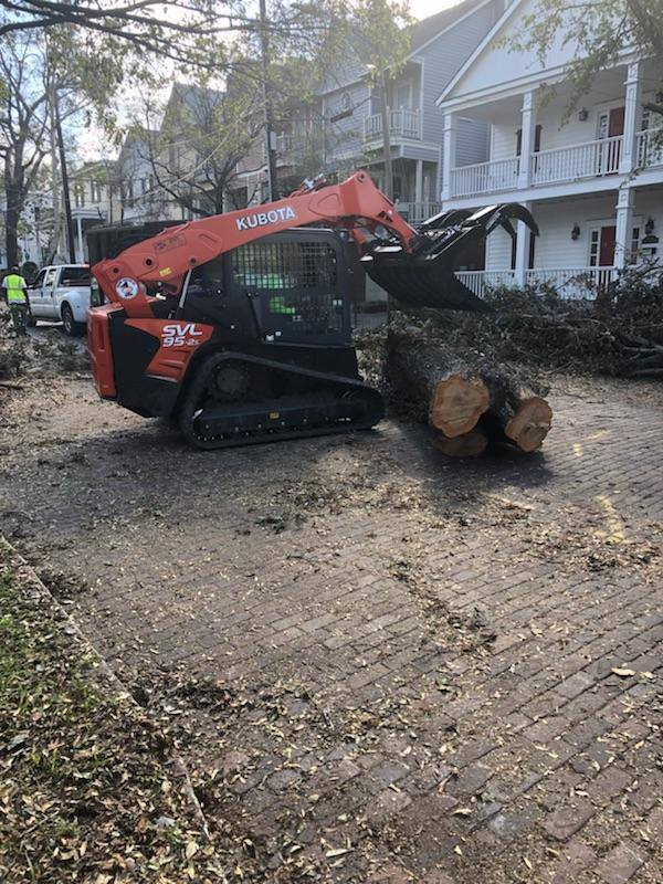 wilmington cleanup